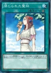 遊戯王 SPWR 禁じられた聖杯 (ノーマル)