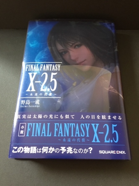 ＦＩＮＡＬ　ＦＡＮＴＡＳＹ　１０－２．５　永遠の代償 野島一成／著