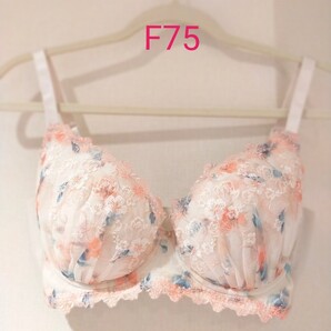 チュチュアンナ ブラジャー F75 365日きれいブラ 脇と背中すっきり ワイヤーブラ
