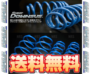 ESPELIR エスペリア スーパーダウンサス (前後セット) RAV4 SXA10G/SXA11G/SXA16G 3S-FE H6/5～12/5 (EST-038