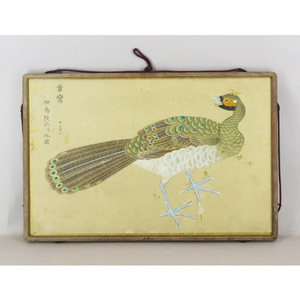 Art hand Auction B-2687 [Authentic work] Edo period bird illustrations and herbal illustrations, hand-painted on paper, blue lantern drawings, framed/animal sketches, flowers and birds, Chinese paintings, Chinese objects, Chinese calligraphy and paintings, painting, Japanese painting, flowers and birds, birds and beasts