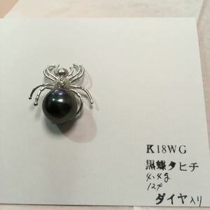 k18WG黒蝶貝タヒチ〔蜘蛛〕タイピン