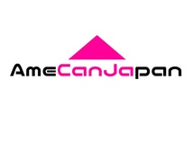 AmeCanJapan アルト ワークス HA36S 適合 LED フォグランプ 2個セット H8 H11 H16 COB 4面発光 12V車用 爆光 フォグライト ホワイト_画像2