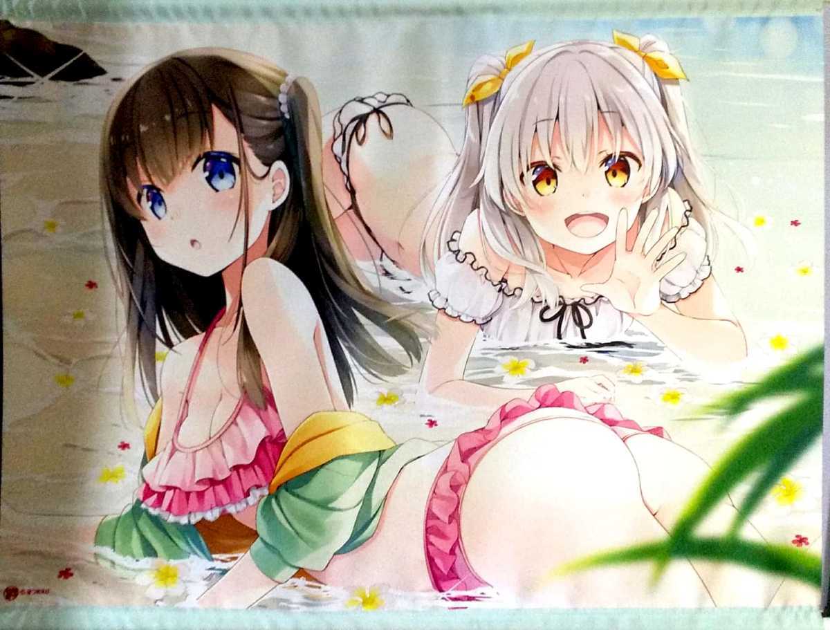 なつめえり 描き下ろしB2タペストリー 軸中心派 水着 赤面 照れ