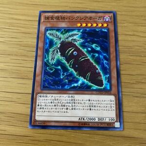 捕食植物バンクシアオーガ COTD-JP016 遊戯王OCG CODE OF THE DUELIST