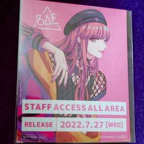 自己紹介欄 商品説明を必ずご覧ください パラライ BAE スタッフパス風ステッカー 特典 アン・フォークナー グッズ CD FATE アルバム