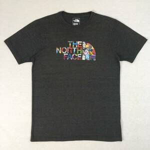 THE NORTH FACE ノースフェイス ビッグロゴ ハーフドーム Tシャツ Mサイズ グレー スリムフィット