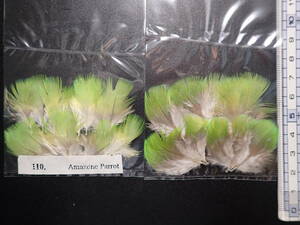 ●●2pack set Amazon Parrot Breast⑥沢田賢一郎 Capras sussexカプラス Kensawada ケンサワダ サワダ Sawada Hardy Orvis Pezon TMC SAGE