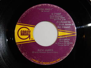 Rick James You And I / Hollywood Gordy US G 7156F 200448 SOUL DISCO ソウル ディスコ レコード 7インチ 45