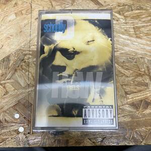 シHIPHOP,R&B SCHOOLLY D - HOW A BLACKMAN FEELS アルバム,名作! TAPE 中古品