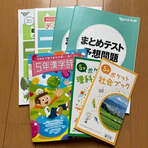 ☆ベネッセ☆進研ゼミ小学講座　５年生　２学期・学年末まとめテスト　テスト100点問題集　ほぼ新品