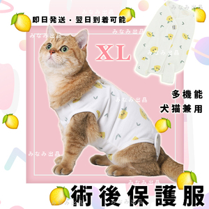 【レモン柄XL】猫犬 術後服 離乳避妊手術 皮膚保護雌 エリザベスカラー ウェア　　　　