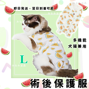 [ watermelon pattern L] cat dog . after clothes .... hand . skin protection female pet wear 
