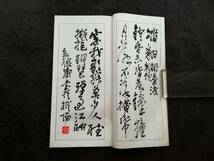 呉昌碩 行書 検索:玻璃版 原寸大 珂羅版 墓誌銘 支那 印譜 法書帖 金石篆刻 王鐸 羅振玉 拓本 張瑞図 董其昌 黄庭堅 趙子昴 王義之 米元章_画像6