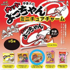 カットよっちゃん　中身入り　ミニチュアチャーム　『タラタラしてんじゃね〜よ カレー味』