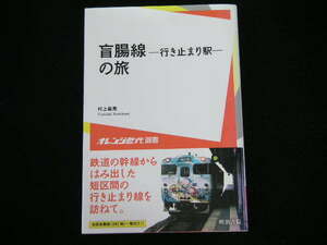 ◆盲腸線―行き止まり駅―の旅◆鉄道の幹線からはみ出した短区間の行き止まり線を訪ねて。