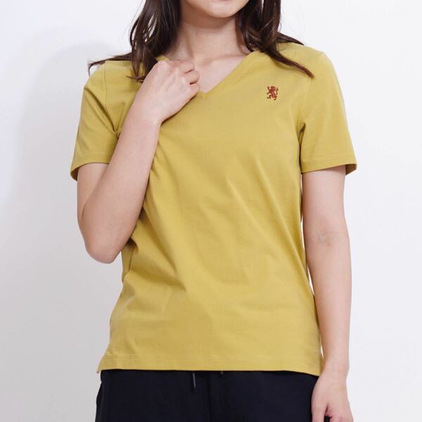 新品 GIORDANO ライオン刺繍 Vネック 半袖 Tシャツ XL