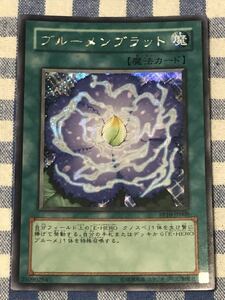 遊戯王 ブルーメンブラット シークレットレアカード