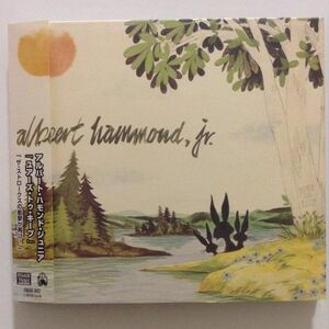 B01819　CD（中古）ユアーズ・トゥ・キープ　アルバート・ハモンド・ジュニア