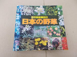  mountain . color illustrated reference book japanese wild grasses 