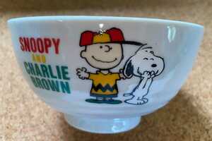 ◆スヌーピー ＆ チャーリー・ブラウン◆ 小丼 器 陶器 SNOOPY AND CHARLIE BROWN