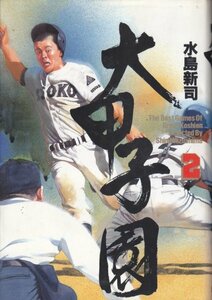 大甲子園―The best games of great koshien (2)ハードカバーマンガ 水島 新司 (著) 