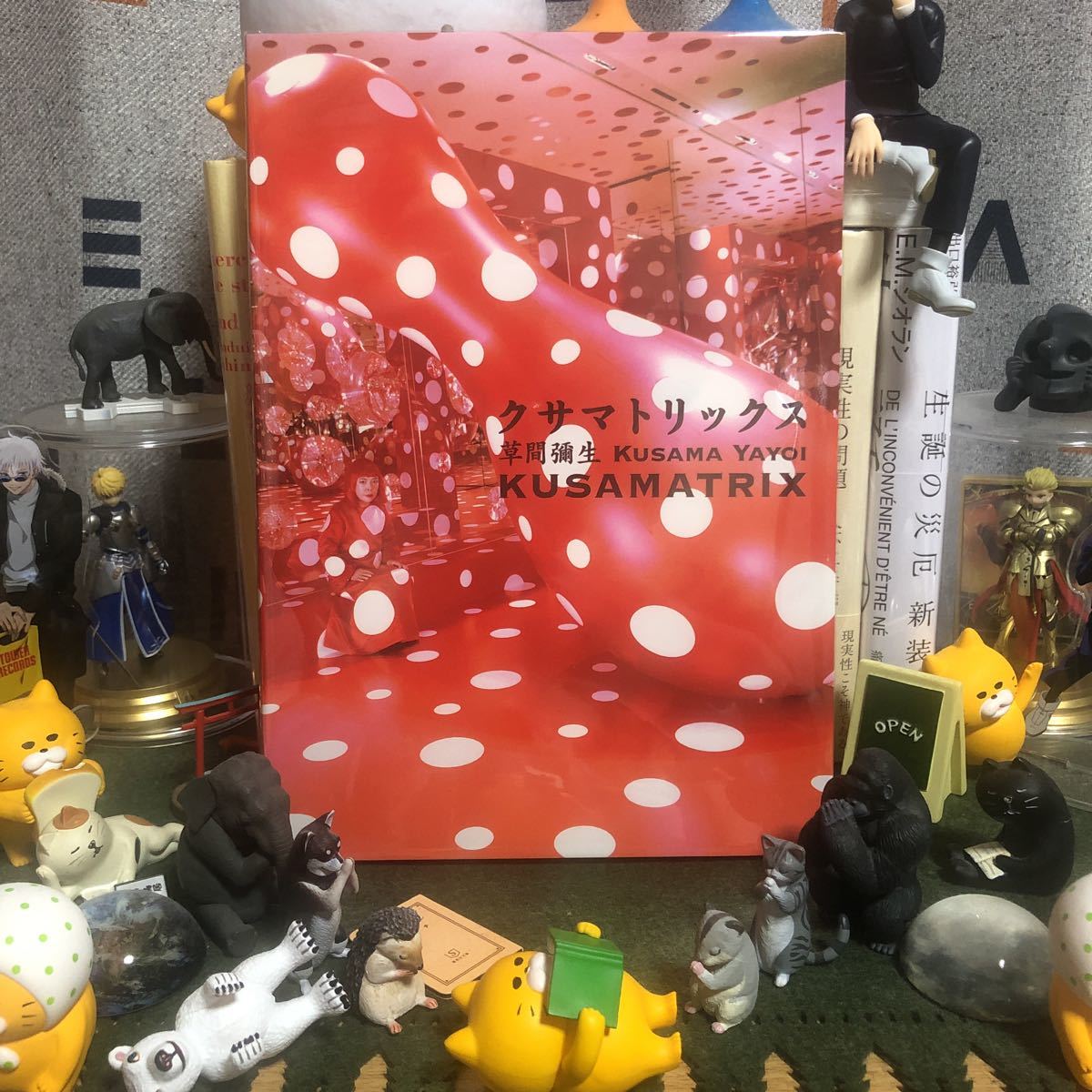 Kusa Matrice Yayoi Kusama, peinture, Livre d'art, Collection d'œuvres, Catalogue illustré