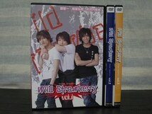 【レンタル版】Wild Strawberry　ワイルドストロベリー　全3巻セット■d-0010674_画像1