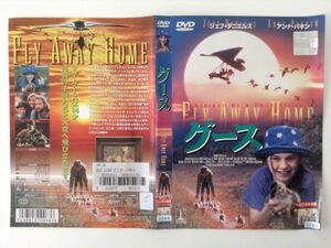 B02250　R中古DVD　グース　ケースなし（ゆうメール送料10枚まで180円）