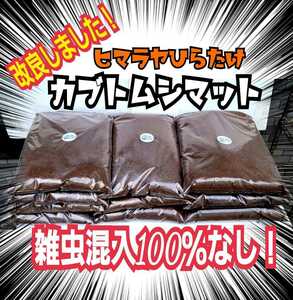 国産カブトムシに抜群！栄養添加剤入り 改良版！発酵マット【30L】幼虫が丸々太る！産卵にも！室内製造なので雑虫、コバエの混入全くなし！