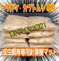 カブトムシ、クワガタの成虫飼育にはコレ！爽やかな香りの針葉樹クリーンマット【50L】ケース内が明るくなり生体が目立つ！ダニ防止に抜群_画像2