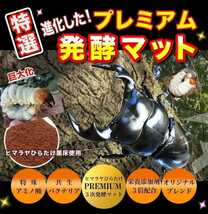 クワガタ初令幼虫の個別管理に！プリンカップ入りプレミアム3次発酵クワガタマット【25セット】微粒子でよく食べます！トレハロース配合_画像7