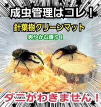 カブトムシ、クワガタの成虫飼育にはコレ！爽やかな香りの針葉樹クリーンマット【50L】ケース内が明るくなり生体が目立つ！ダニ防止に抜群_画像1