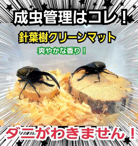 カブトムシ、クワガタの成虫飼育にはコレ!爽やかな香りの針葉樹クリーンマット【50L】ケース内が明るくなり生体が目立つ!ダニ防止に抜群