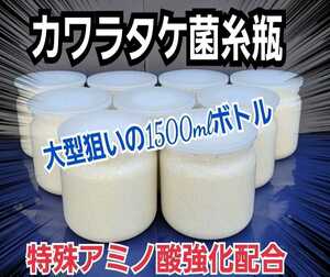 極上！カワラ菌糸瓶　特大1500ml【3本】特殊アミノ酸強化！タランドゥス・オウゴンオニクワガタ・レギュウスが巨大化☆トレハロース増量