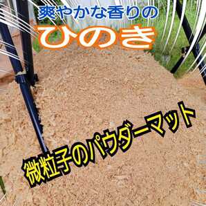 フルイから落ちたヒノキの微粒子パウダーマット☆クワガタ・カブトムシのダニ避けに!消臭・抗菌作用あり(粗削りタイプ別途は出品してます)
