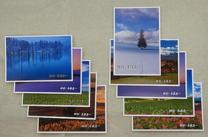  прекрасный .. прекрасный . автор *. глициния . один открытка с видом 10 шт. комплект Hokkaido прекрасный .