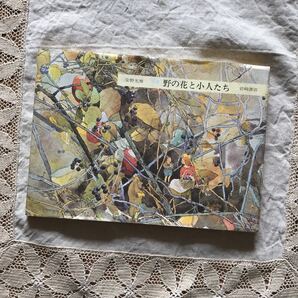 野の花と小人たち 安野光雅 画集 母の友