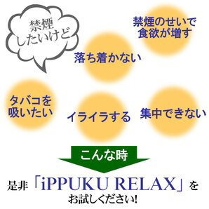 iPPUKUノーニコチン茶葉スティック レギュラー3個セット ネコポス対応の画像3