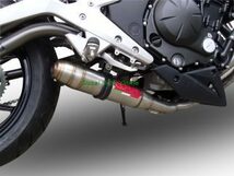 イタリア GPR DE スリップオン マフラー / BMW S1000RR 2015-2016_画像1