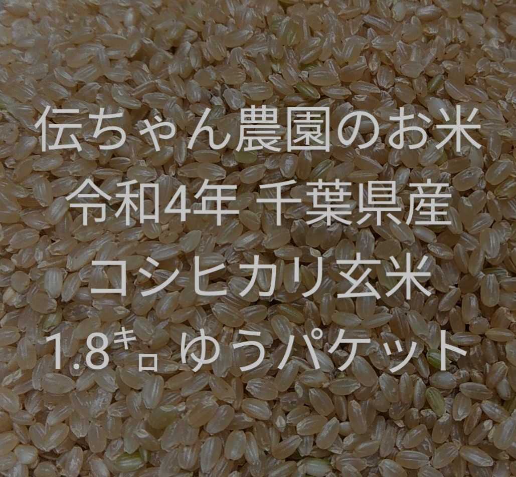 SALE/62%OFF】 減農薬コシヒカリ 令和4年度産 30キロサイズ 送料無料