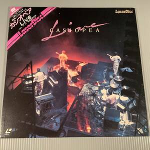 LD( Laser )# Casiopea | Live 1985.4.27 обе страна новый страна . павильон # мужской пояс "оби" есть хороший товар!