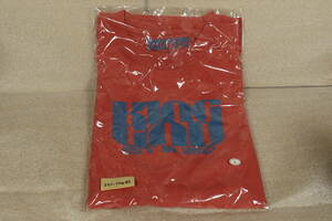 新品 King Gnu Tシャツ FES.TEE 2022 RISING SUN ROCK FESTIVAL 限定カラー Lサイズ グッズ