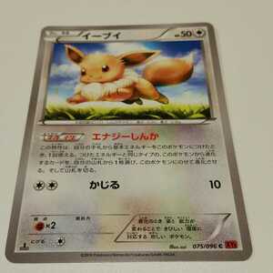 ヤフオク ポケモンカード イーブイ Xyの中古品 新品 未使用品一覧