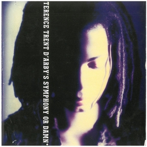 サナンダ・マイトレイヤ(TERENCE TRENT D'ARBY) / SYMPHONY OR DAMN ディスクに傷有り 歌詞カード破れ有り CD