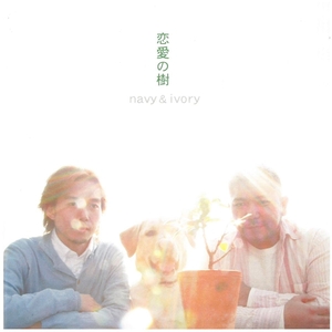 navy ＆ ivory(ネイビー・アンド・アイボリー) / 恋愛の樹 ディスクに傷有り CD