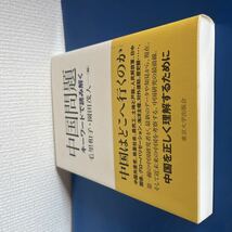 中国問題: キ−ワードで読み解く 単行本 2012/9/27 毛里 和子 ・ 園田 茂人 (編集)　東京大学出版会_画像4