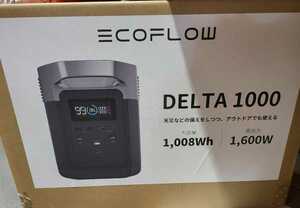 EcoFlow portable power supply DELTA1000