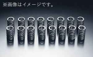 個人宅発送可能 HKS VALVE SPRING バルブスプリング NISSAN RB26DETT BNR32 BCNR33 BNR34 (22001-AN001)