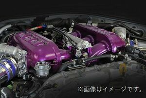 個人宅発送可能 HKS TWIN INJECTOR PRO KIT ツインインジェクター プロキット NISSAN GT-R R35 VR38DETT (14007-AN004)